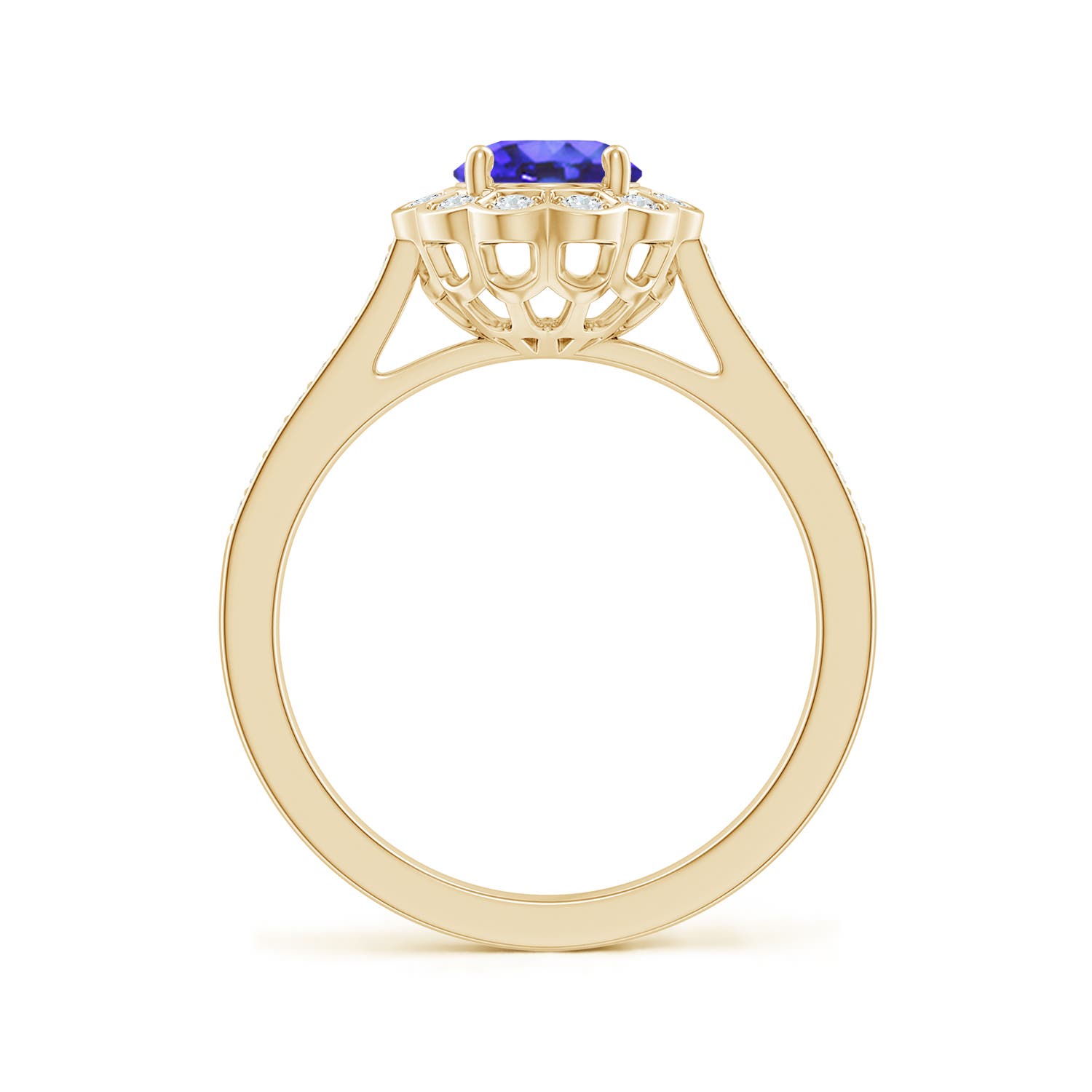 AA - Tanzanite / 1.47 CT / 14 KT Yellow Gold