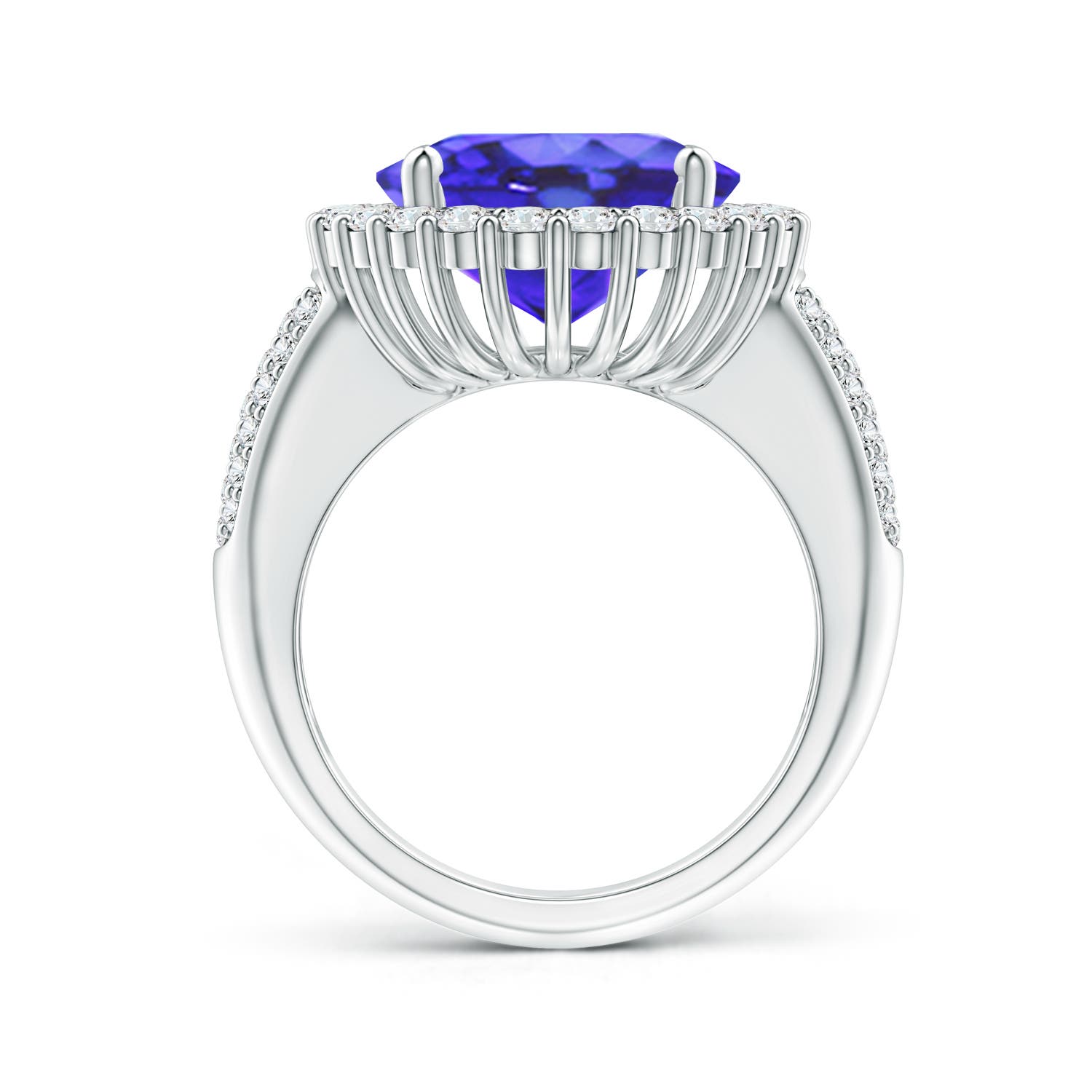 AA - Tanzanite / 9.22 CT / 14 KT White Gold