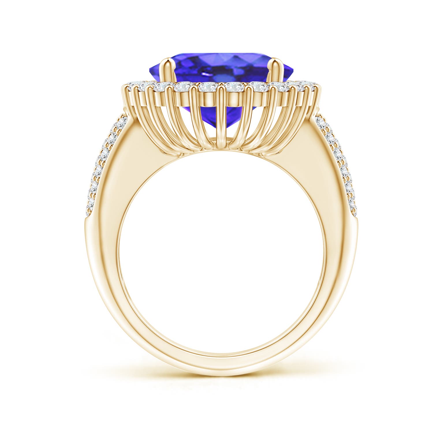 AA - Tanzanite / 9.22 CT / 14 KT Yellow Gold