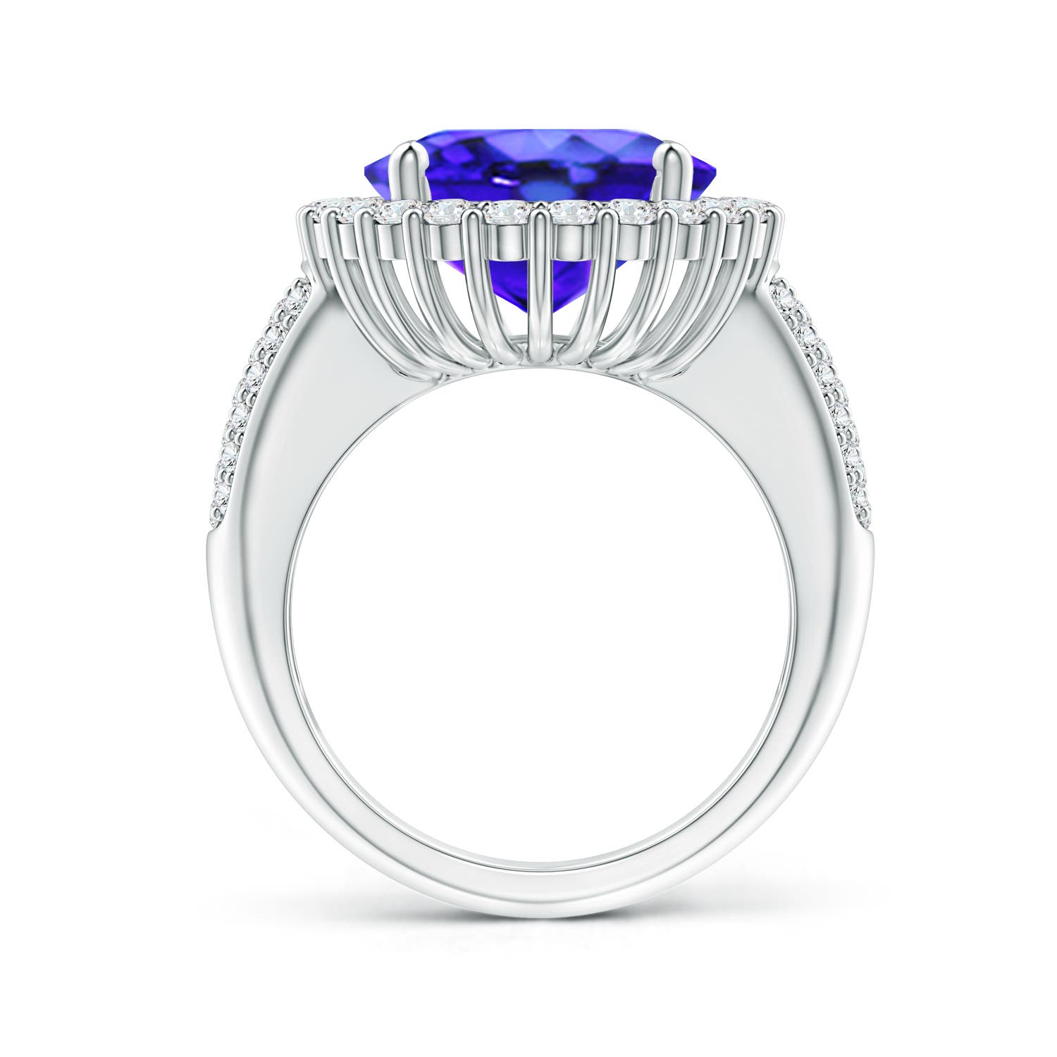 AAA - Tanzanite / 9.22 CT / 14 KT White Gold