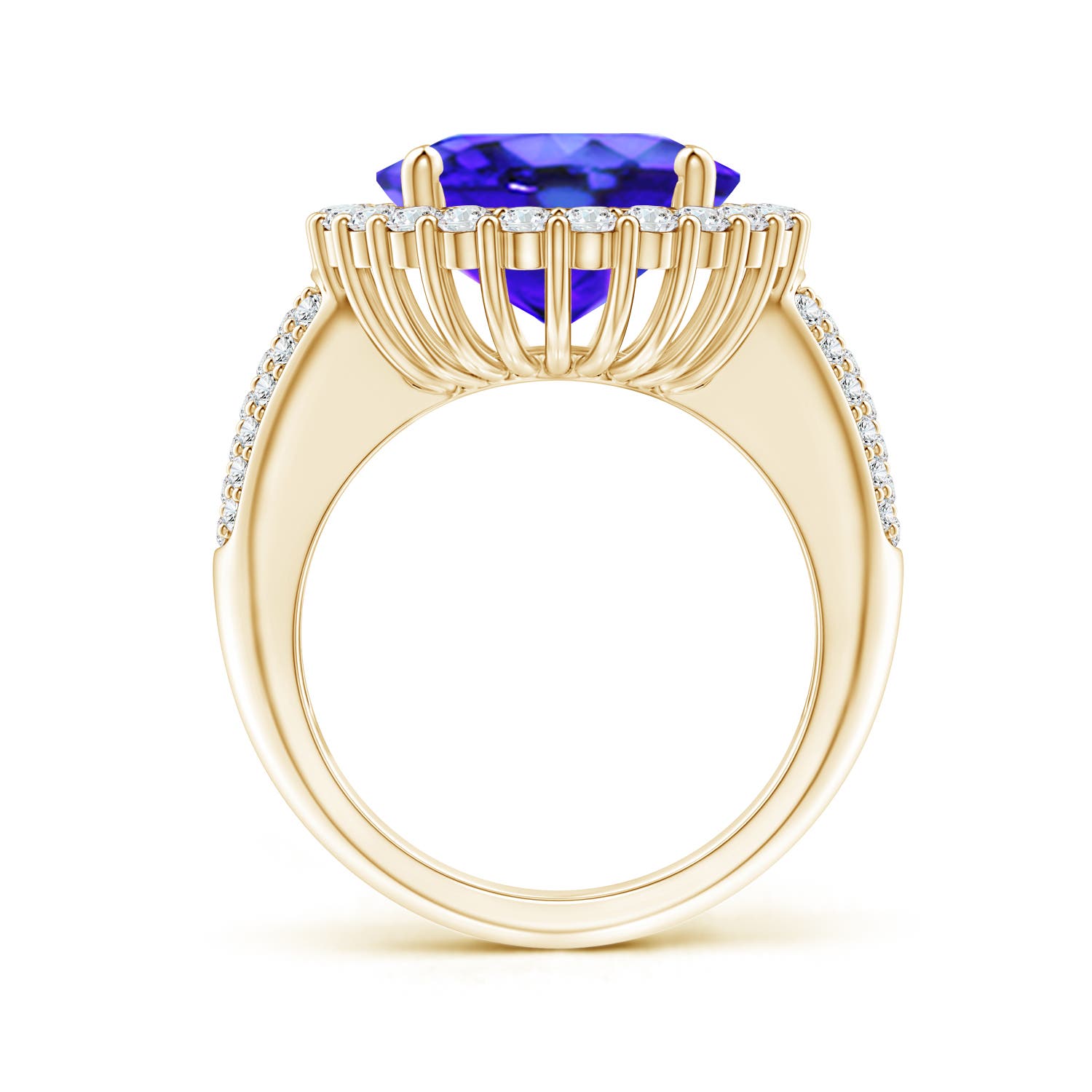 AAA - Tanzanite / 9.22 CT / 14 KT Yellow Gold