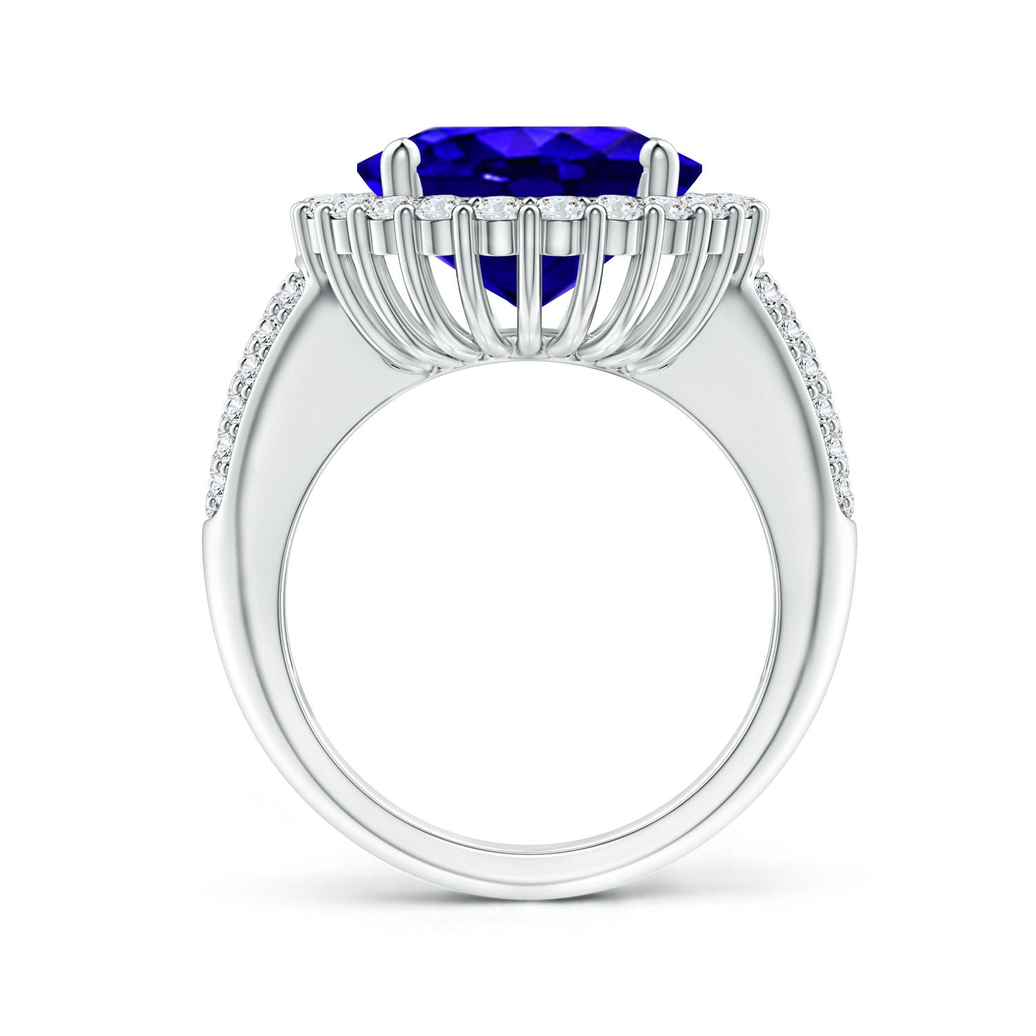 AAAA - Tanzanite / 9.22 CT / 14 KT White Gold