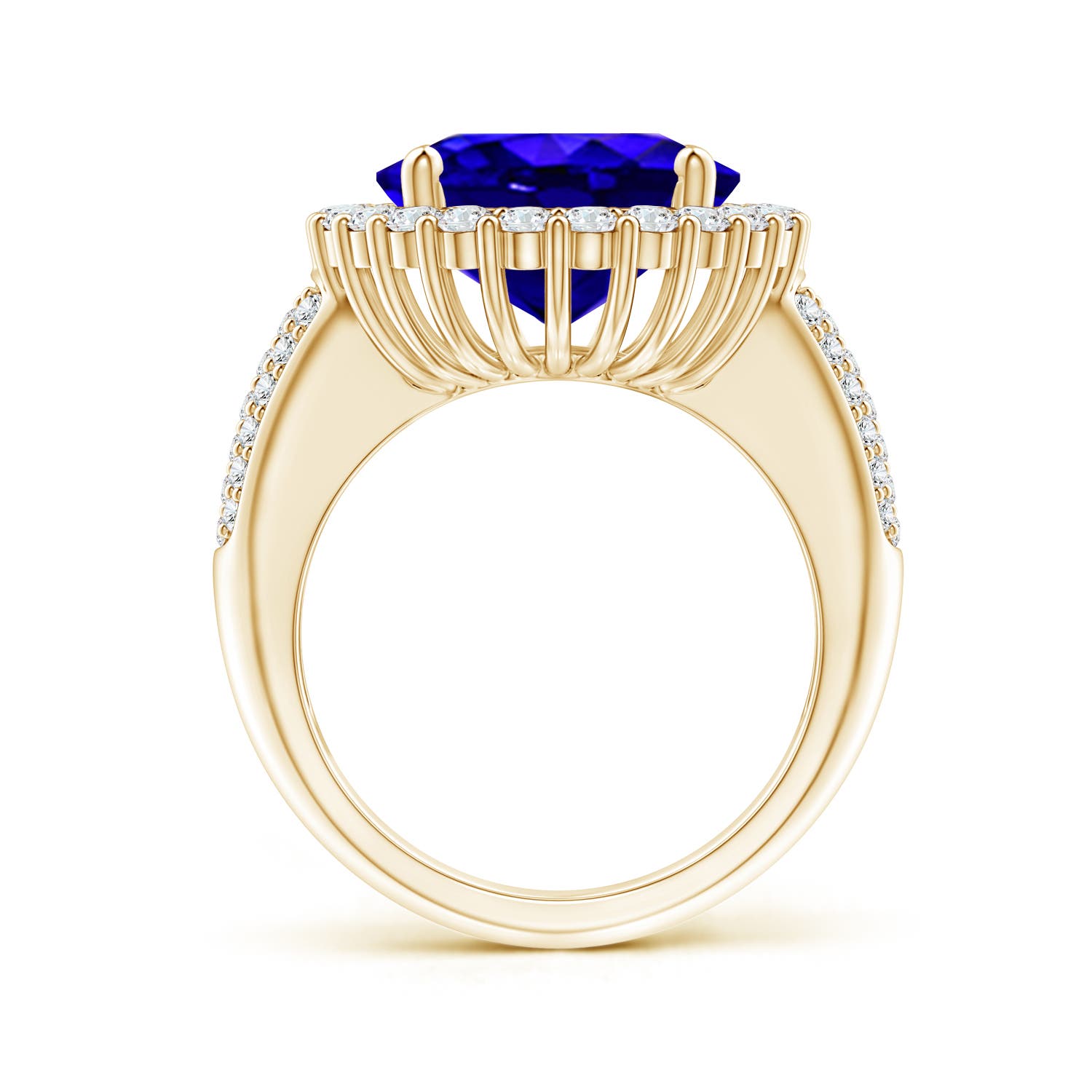 AAAA - Tanzanite / 9.22 CT / 14 KT Yellow Gold