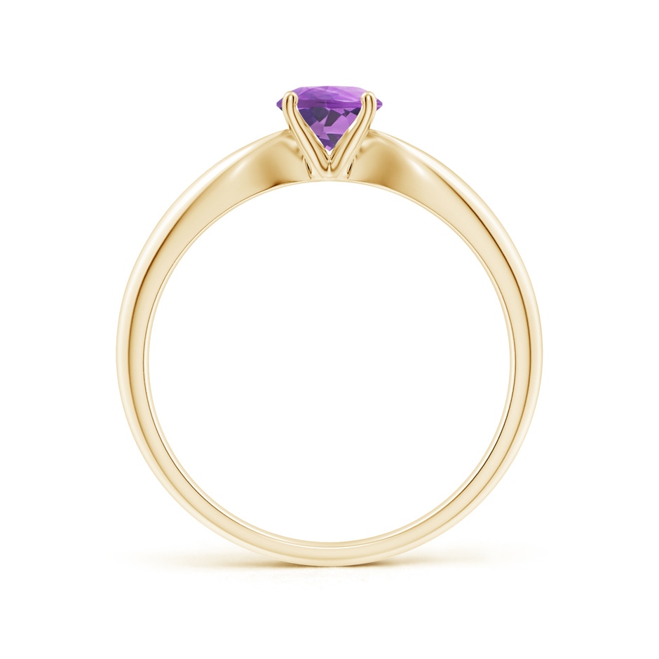 5mm A Solitaire Round Amethyst Tapered Shank Ring in Yellow Gold side-1