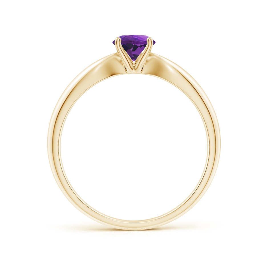 5mm AAAA Solitaire Round Amethyst Tapered Shank Ring in Yellow Gold side-1
