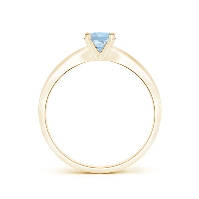 AA - Aquamarine / 0.4 CT / 14 KT Yellow Gold