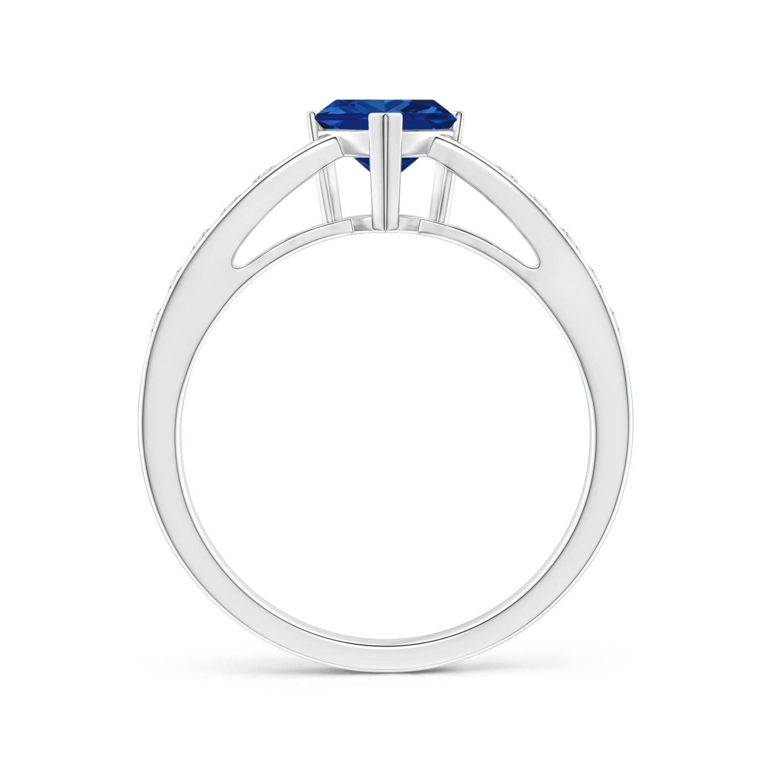 AAAA - Blue Sapphire / 1 CT / 14 KT White Gold