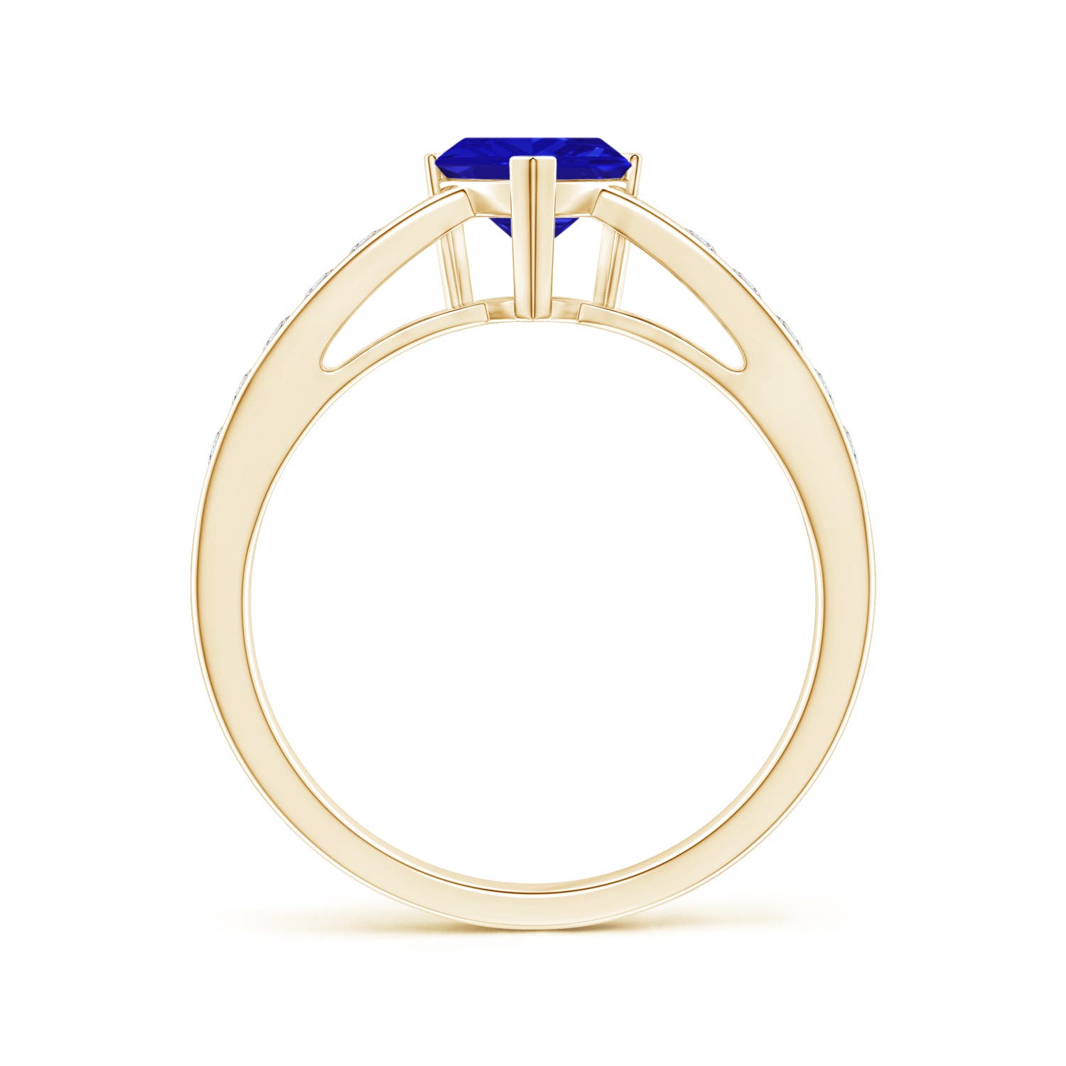 AAAA - Tanzanite / 1 CT / 14 KT Yellow Gold