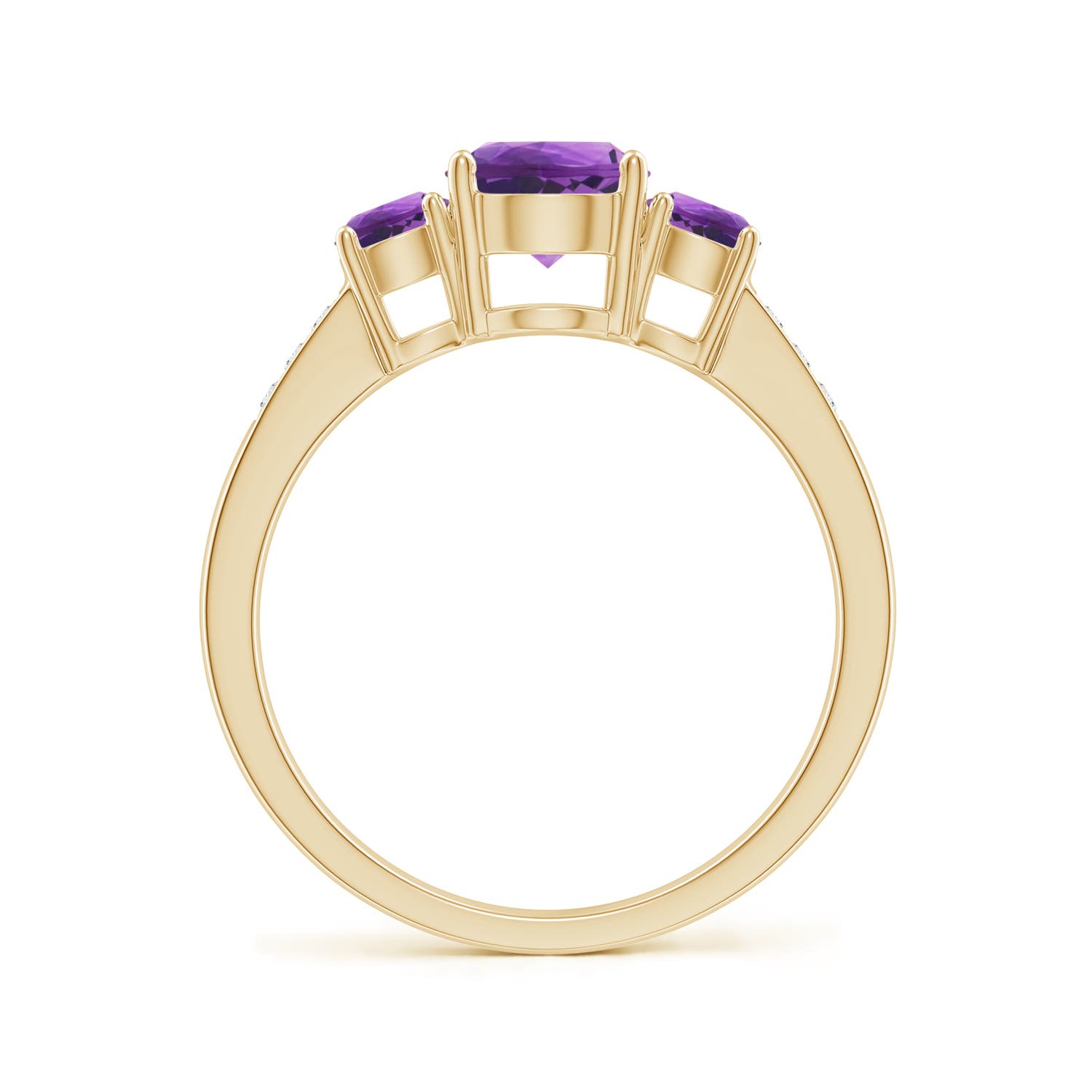 AAA - Amethyst / 1.18 CT / 14 KT Yellow Gold