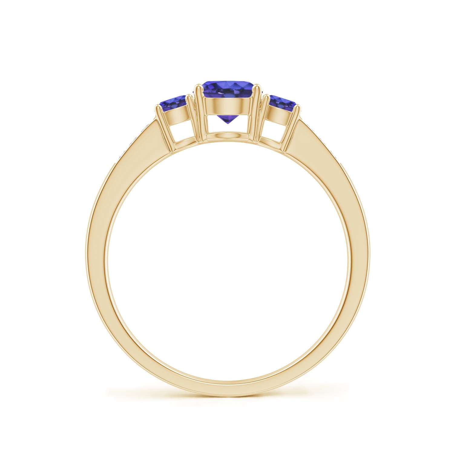 AAA - Tanzanite / 0.75 CT / 14 KT Yellow Gold