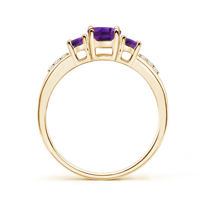 AAAA - Amethyst / 0.95 CT / 14 KT Yellow Gold