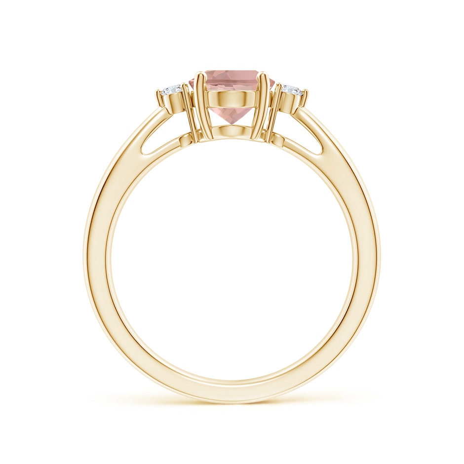 8x6mm AAAA Tapered Shank Morganite Solitaire Ring with Diamond Accents in Yellow Gold side 199
