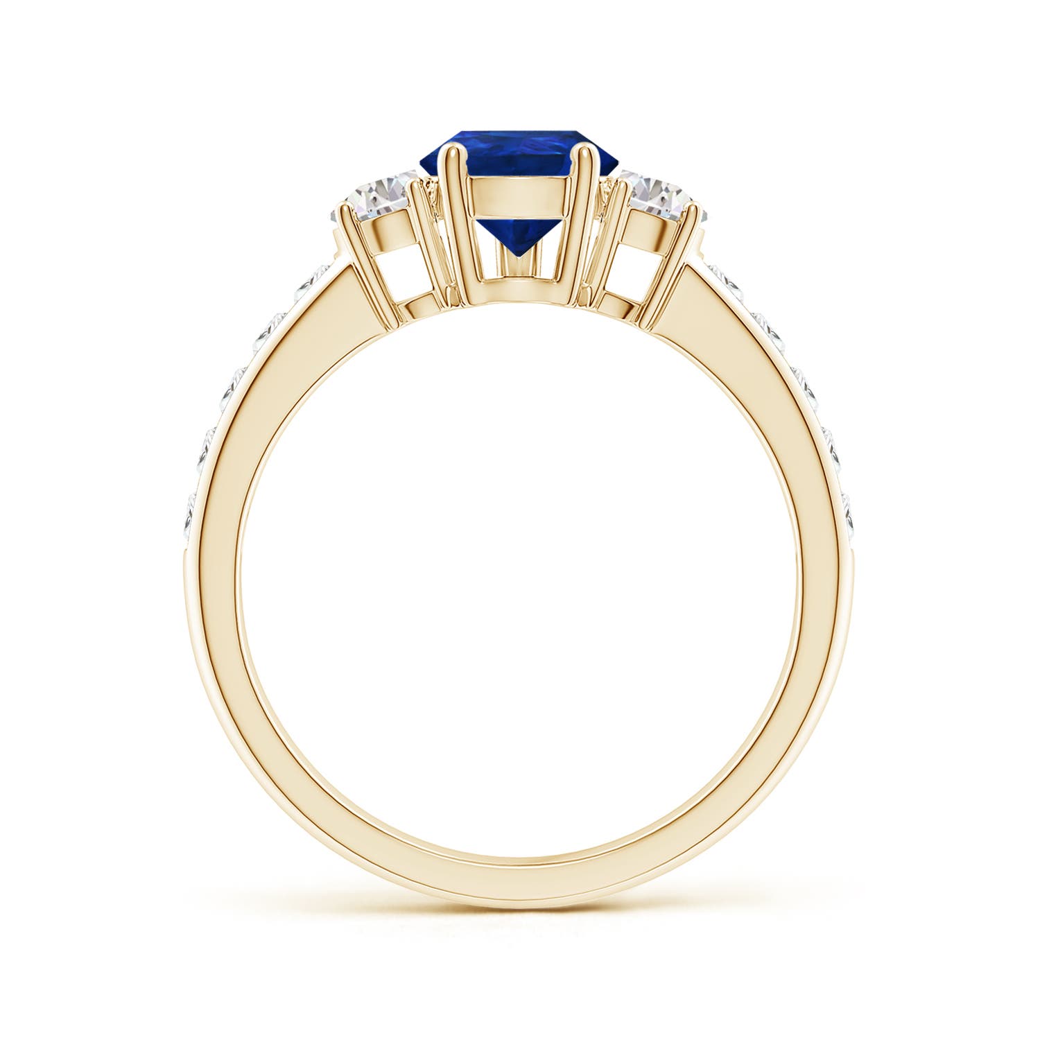 AAA - Blue Sapphire / 2.48 CT / 14 KT Yellow Gold