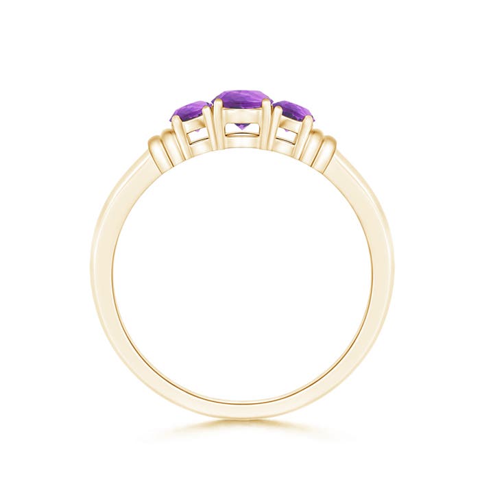 AA - Amethyst / 0.45 CT / 14 KT Yellow Gold