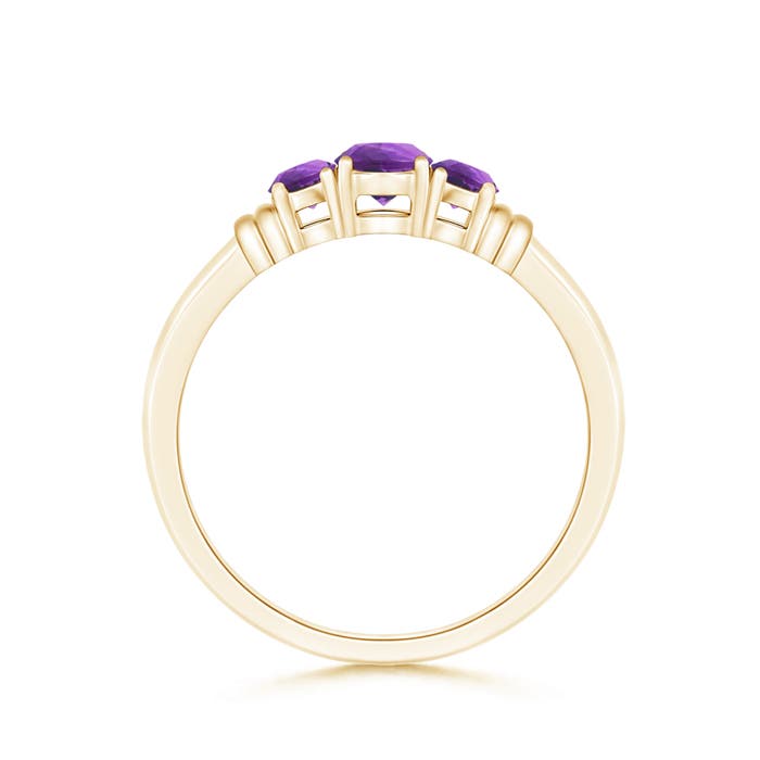 AAA - Amethyst / 0.45 CT / 14 KT Yellow Gold