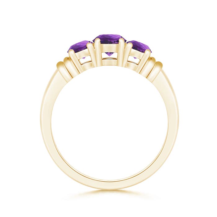 AAA - Amethyst / 0.95 CT / 14 KT Yellow Gold