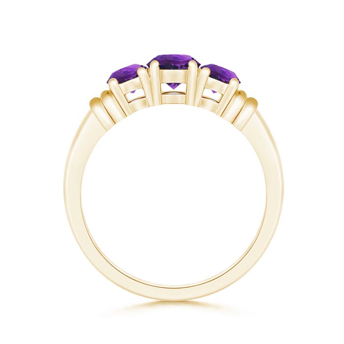 AAAA - Amethyst / 0.95 CT / 14 KT Yellow Gold