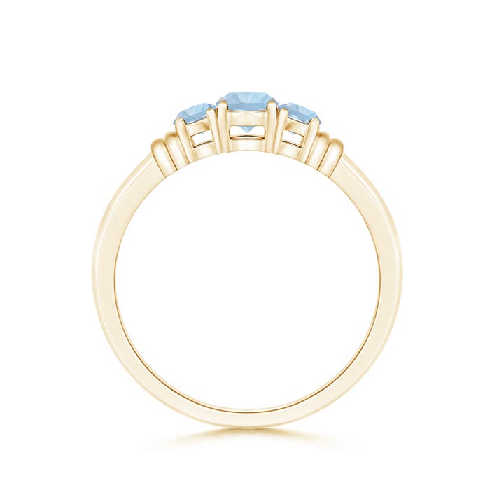 AA - Aquamarine / 0.4 CT / 14 KT Yellow Gold