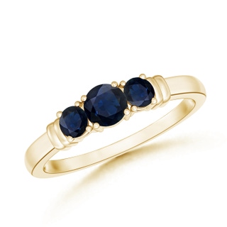 Round A Blue Sapphire