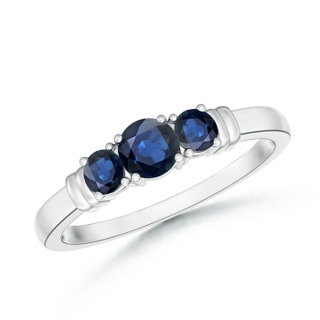 Round AA Blue Sapphire