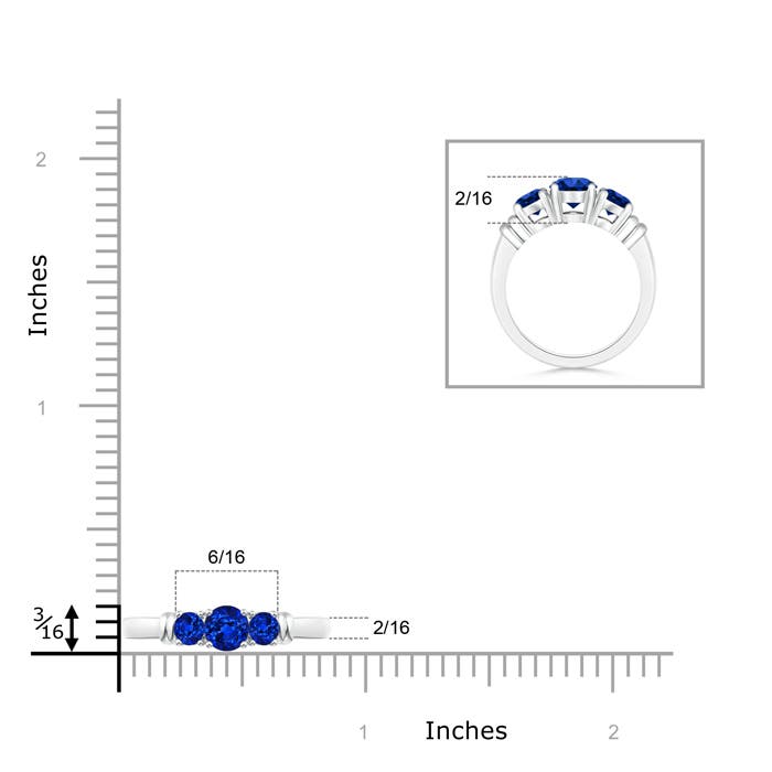 AAAA - Blue Sapphire / 0.61 CT / 14 KT White Gold