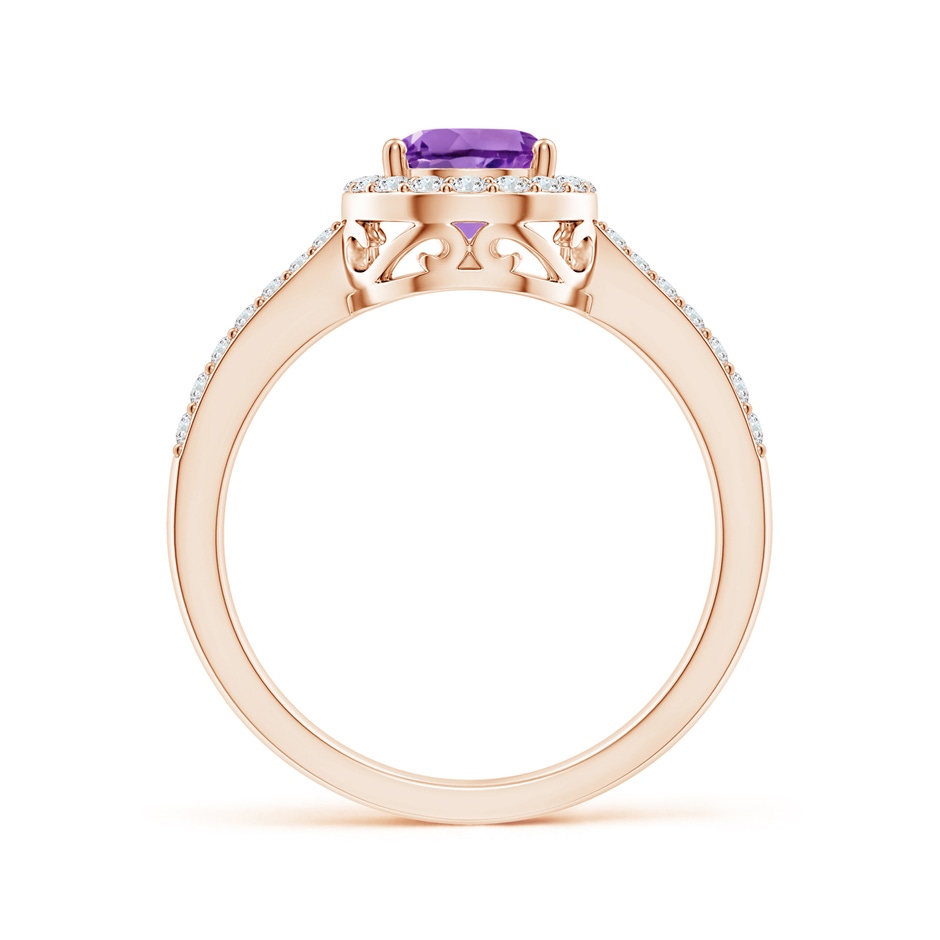 8x6mm AA Prong-Set Pear Amethyst Ring with Diamond Halo in Rose Gold side 199