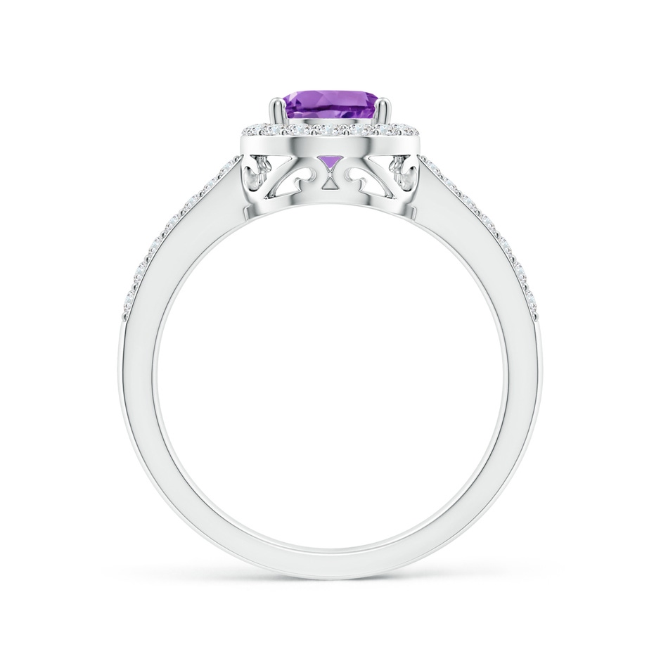 8x6mm AA Prong-Set Pear Amethyst Ring with Diamond Halo in White Gold side 199