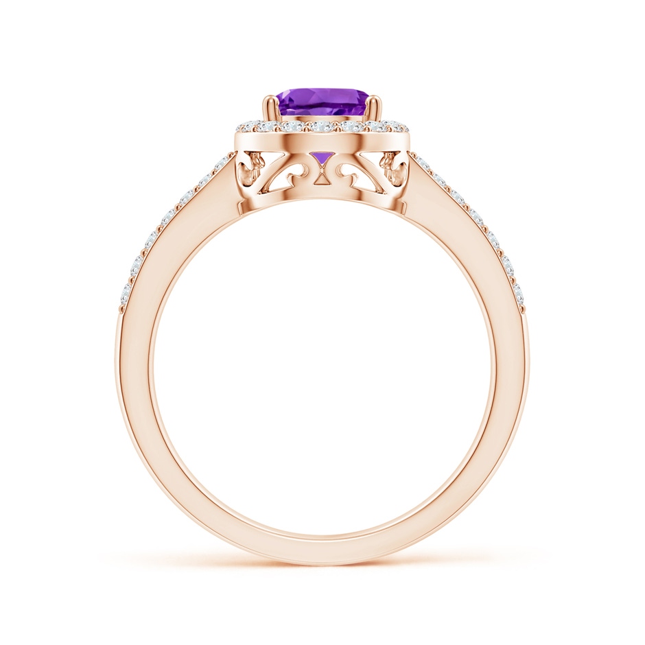 8x6mm AAA Prong-Set Pear Amethyst Ring with Diamond Halo in 9K Rose Gold side 199