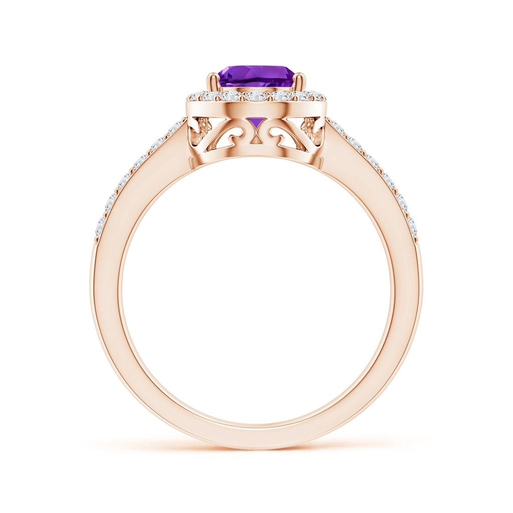 9x6mm AAAA Prong-Set Pear Amethyst Ring with Diamond Halo in Rose Gold - side 199