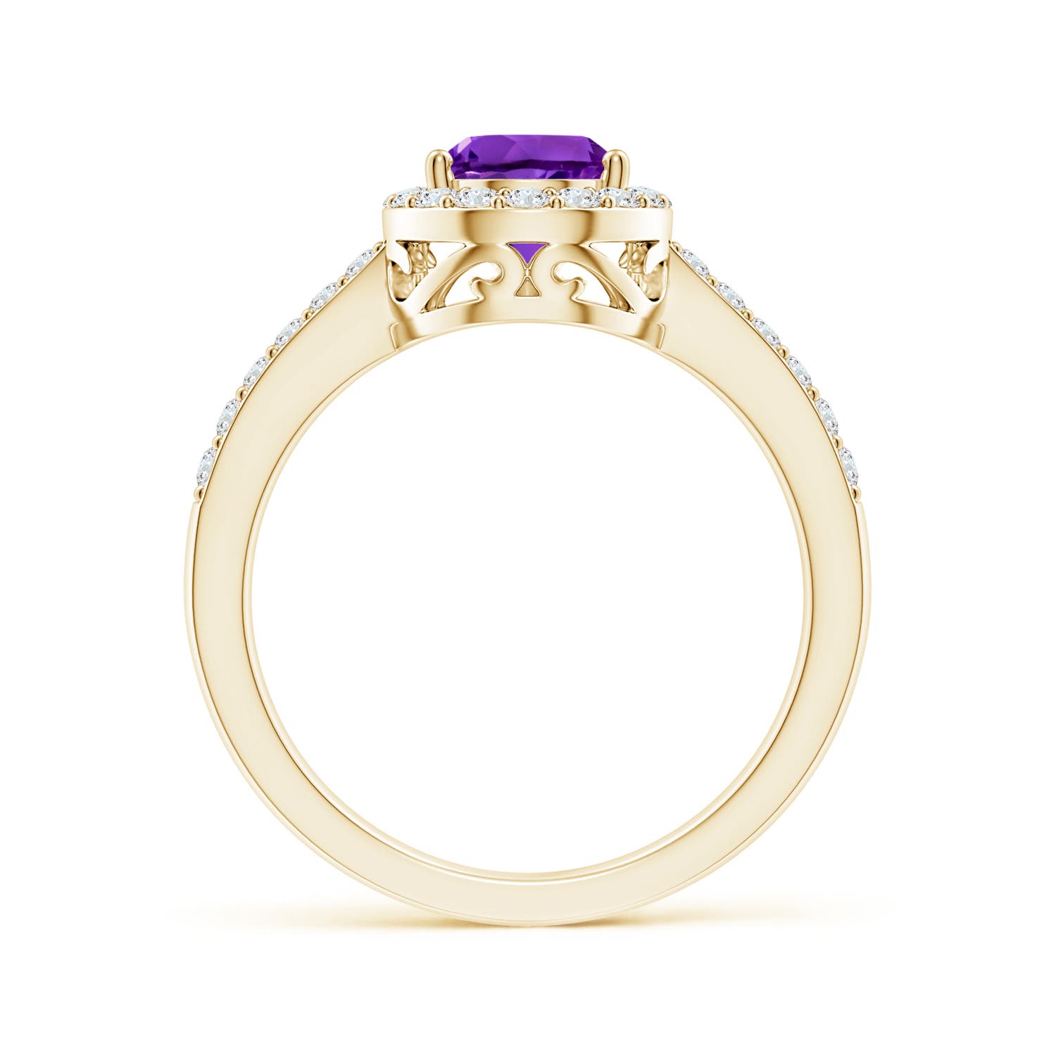 AAAA - Amethyst / 1.41 CT / 14 KT Yellow Gold