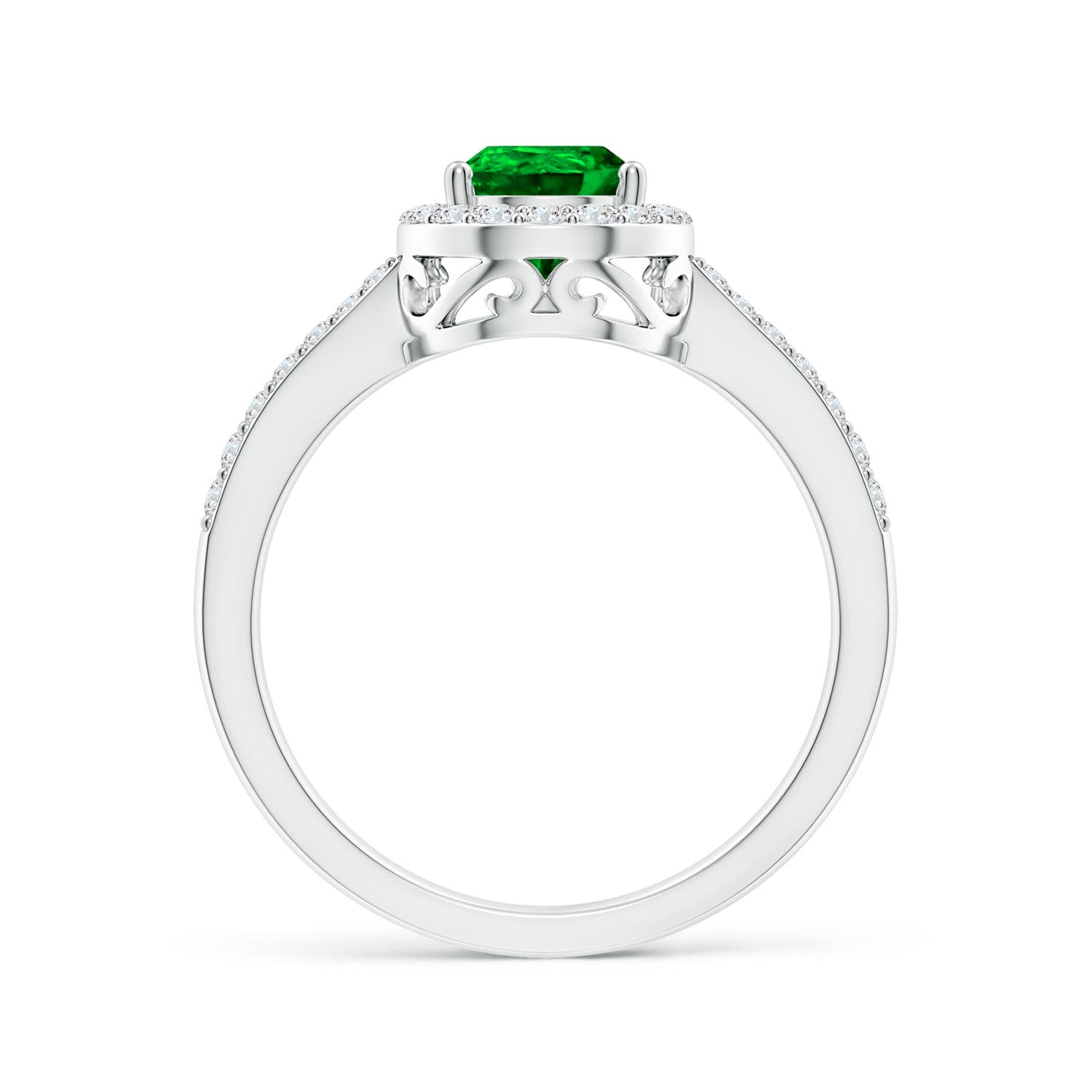 AAAA - Emerald / 1.26 CT / 14 KT White Gold