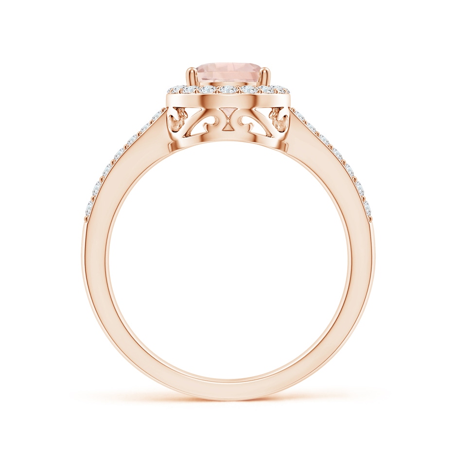 8x6mm A Prong-Set Pear Morganite Ring with Diamond Halo in Rose Gold side 199