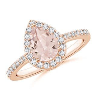 8x6mm AA Pear Morganite Ring with Diamond Halo in 10K Rose Gold