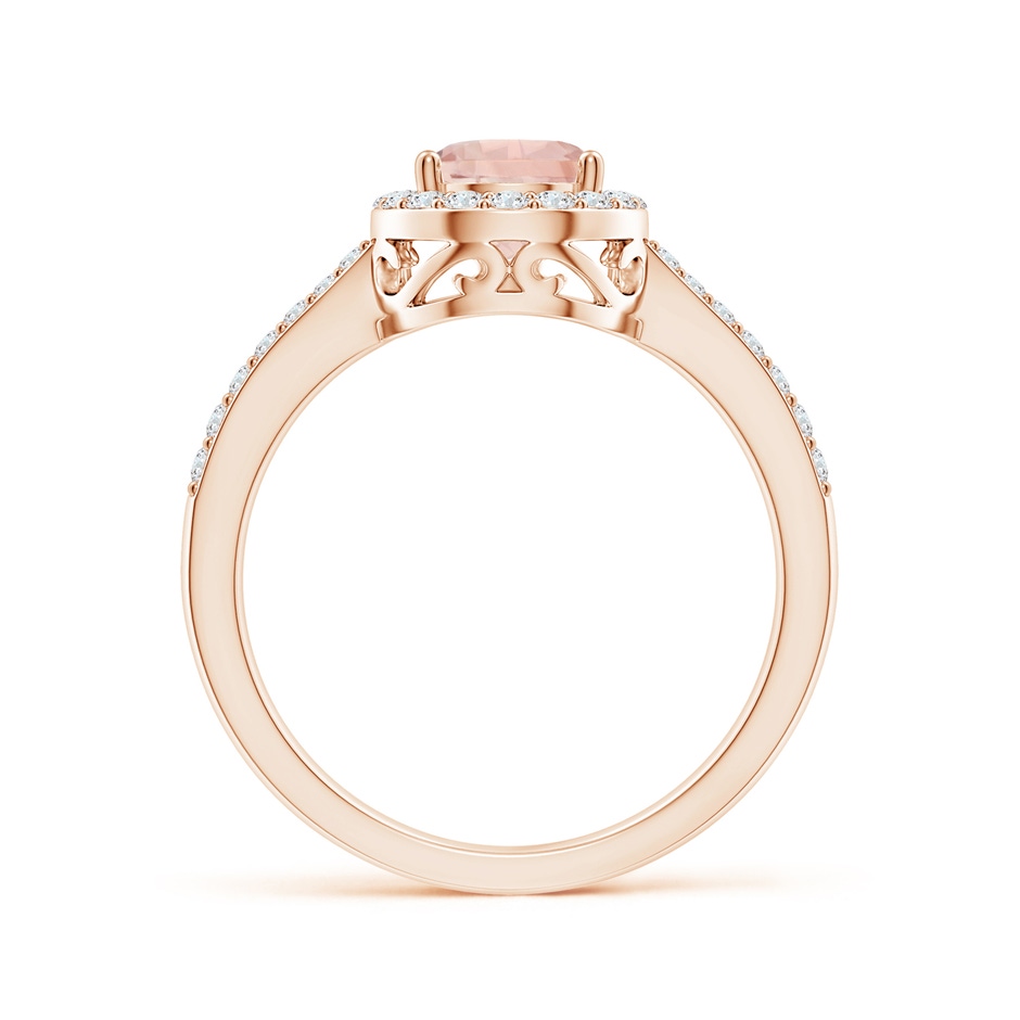 8x6mm AA Prong-Set Pear Morganite Ring with Diamond Halo in Rose Gold side 199