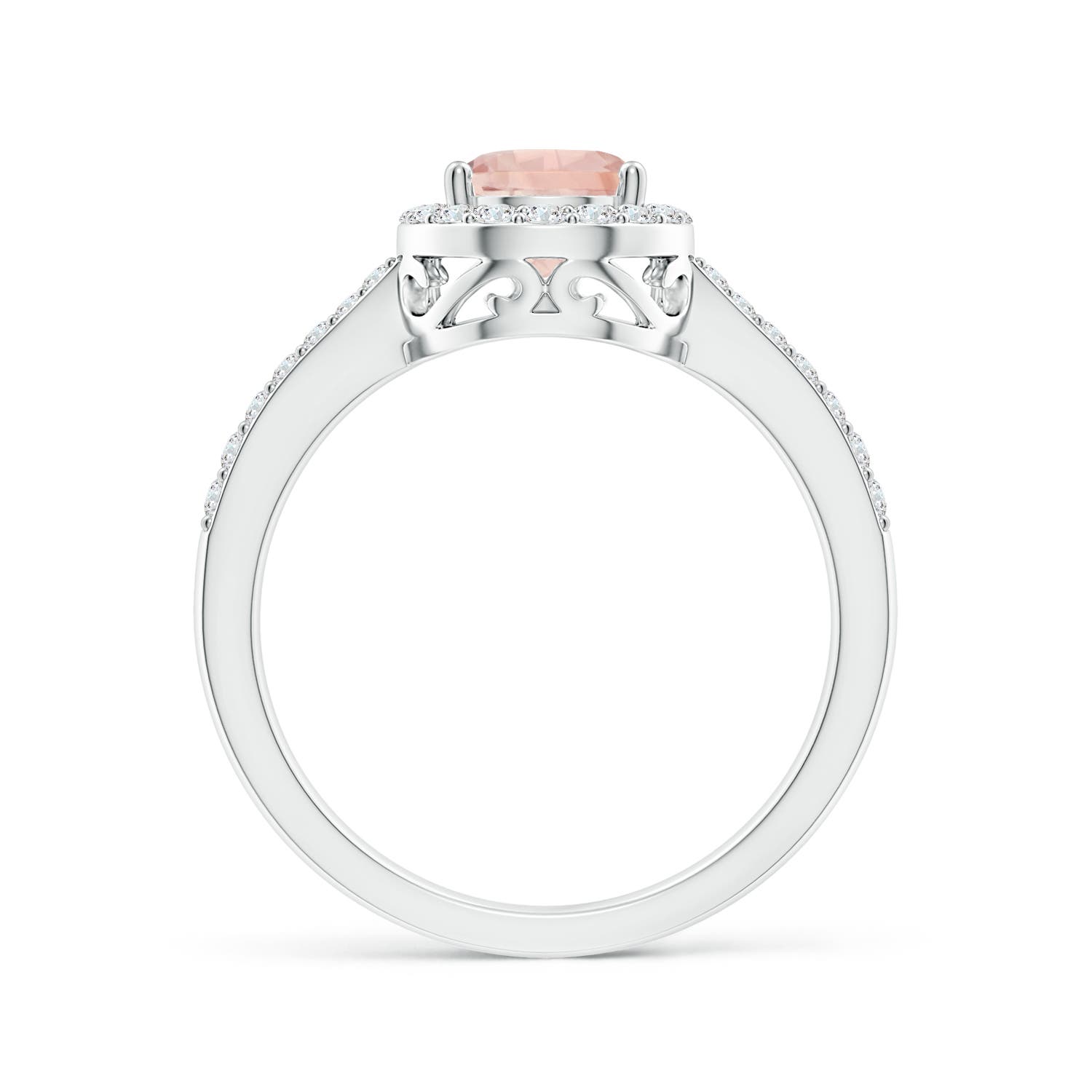 AA - Morganite / 1.26 CT / 14 KT White Gold