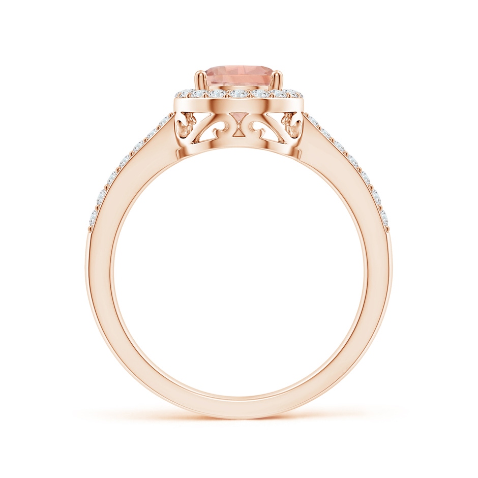 8x6mm AAA Prong-Set Pear Morganite Ring with Diamond Halo in 9K Rose Gold side 199