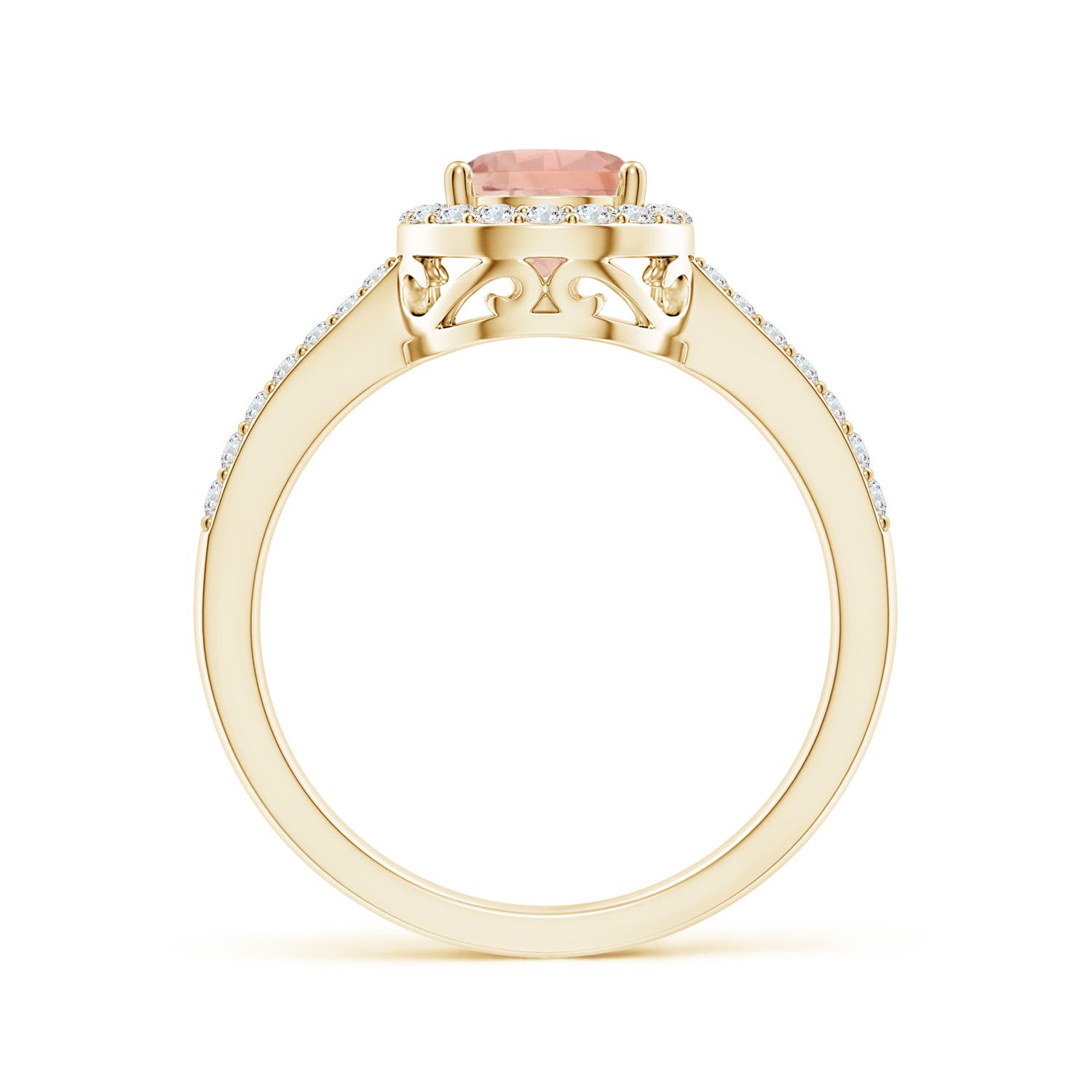 AAA - Morganite / 1.26 CT / 14 KT Yellow Gold