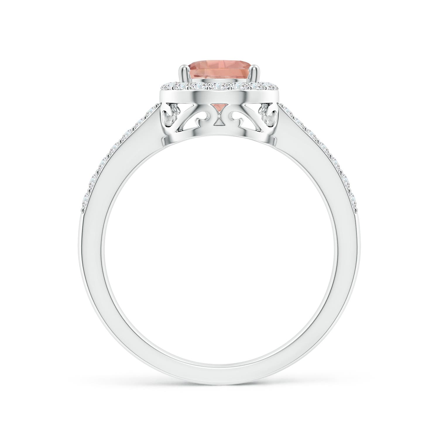 AAAA - Morganite / 1.26 CT / 14 KT White Gold