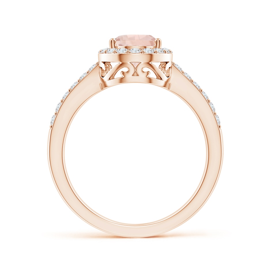 9x6mm A Prong-Set Pear Morganite Ring with Diamond Halo in 10K Rose Gold side 199