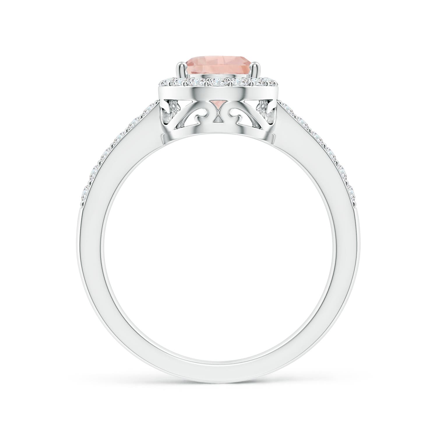 AA - Morganite / 1.51 CT / 14 KT White Gold