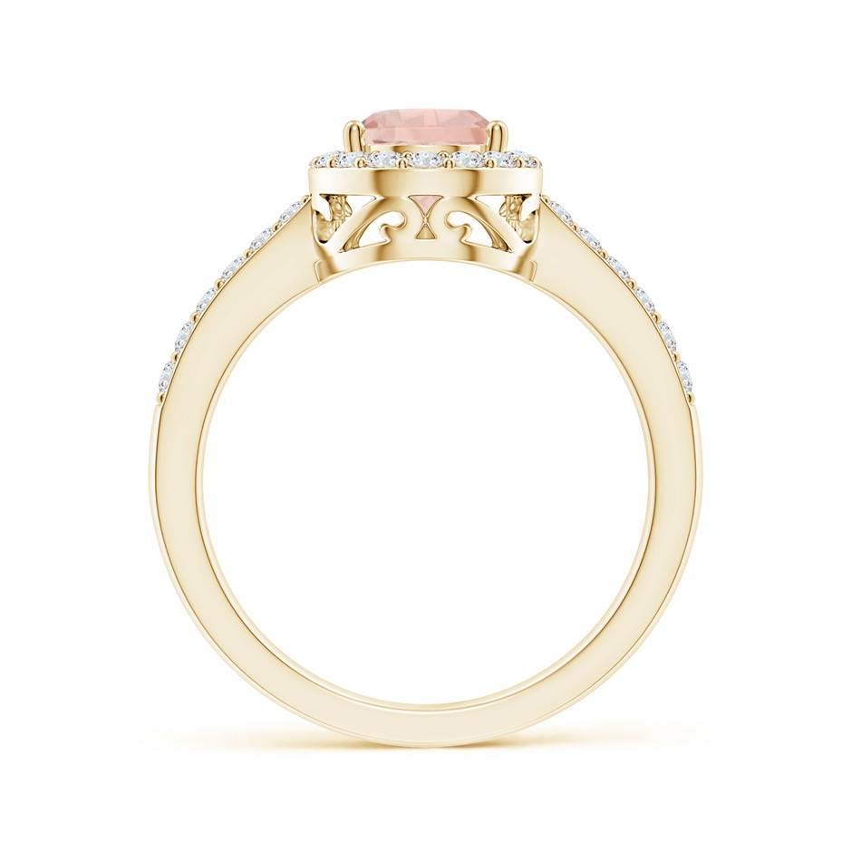 9x6mm AA Prong-Set Pear Morganite Ring with Diamond Halo in Yellow Gold side 199