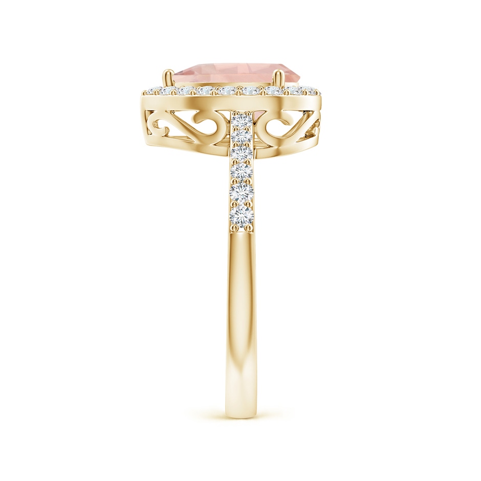 9x6mm AA Prong-Set Pear Morganite Ring with Diamond Halo in Yellow Gold side 299