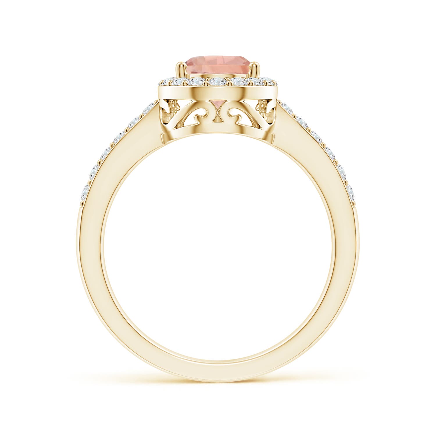 9x6mm AAA Prong-Set Pear Morganite Ring with Diamond Halo in 18K Yellow Gold - side 2