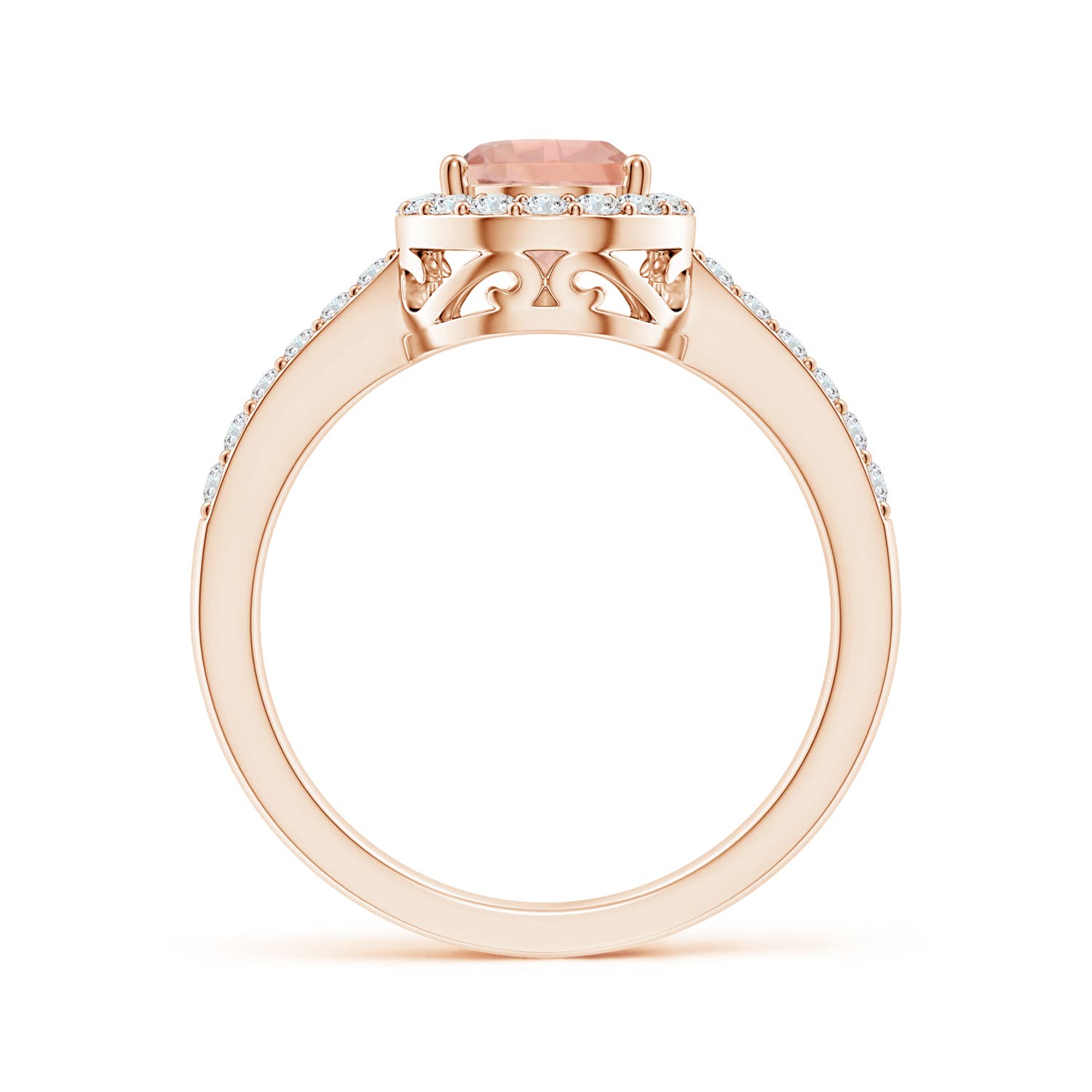 9x6mm AAA Prong-Set Pear Morganite Ring with Diamond Halo in Rose Gold - side 2