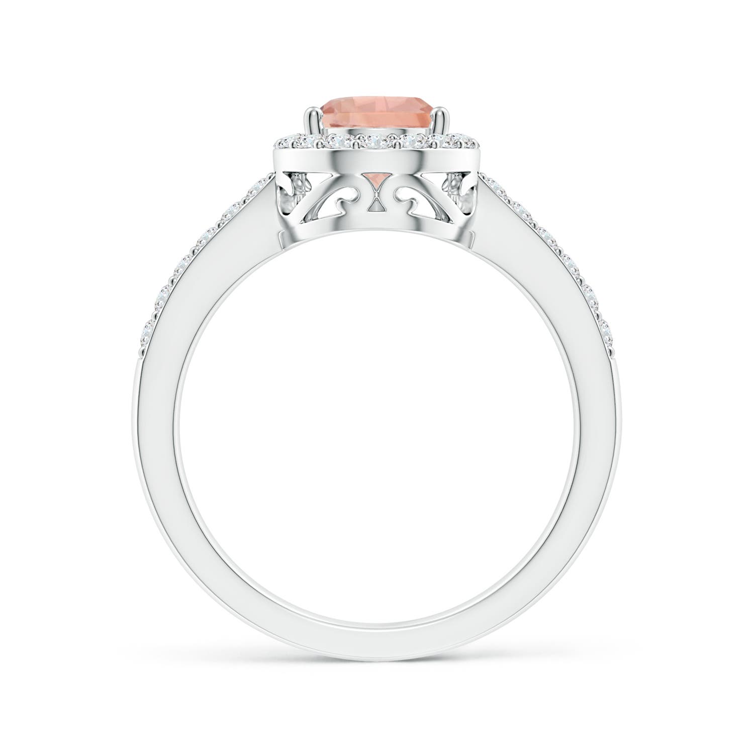 AAA - Morganite / 1.51 CT / 14 KT White Gold