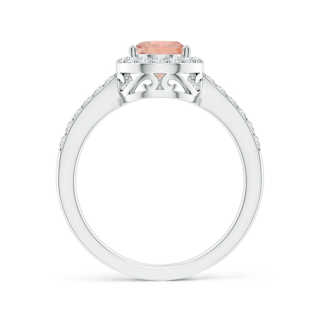 9x6mm AAA Prong-Set Pear Morganite Ring with Diamond Halo in White Gold - side 199