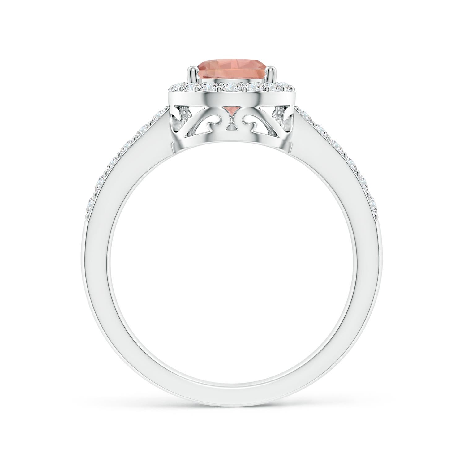 9x6mm AAAA Prong-Set Pear Morganite Ring with Diamond Halo in P950 Platinum