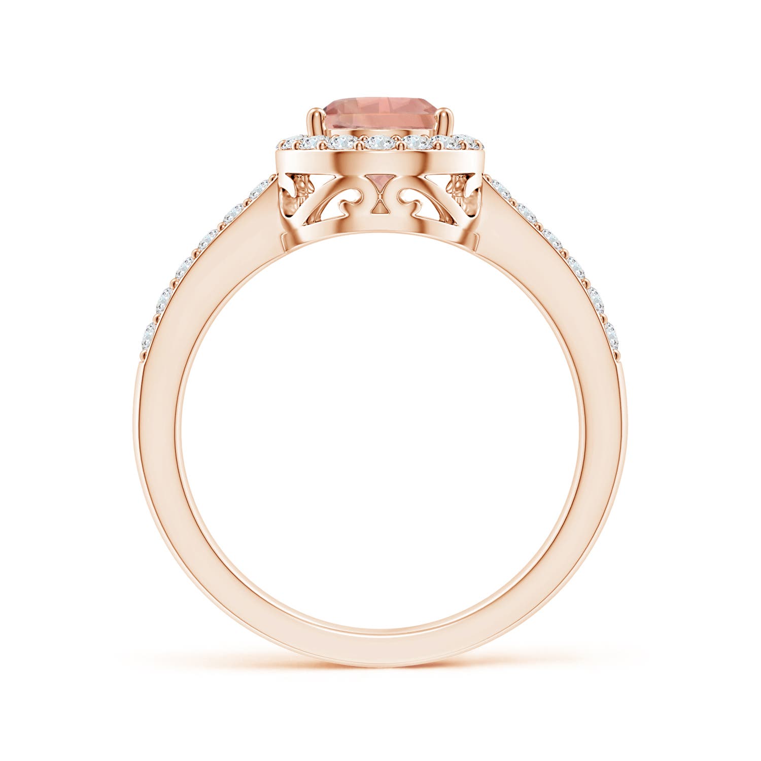 9x6mm AAAA Prong-Set Pear Morganite Ring with Diamond Halo in Rose Gold - side 2