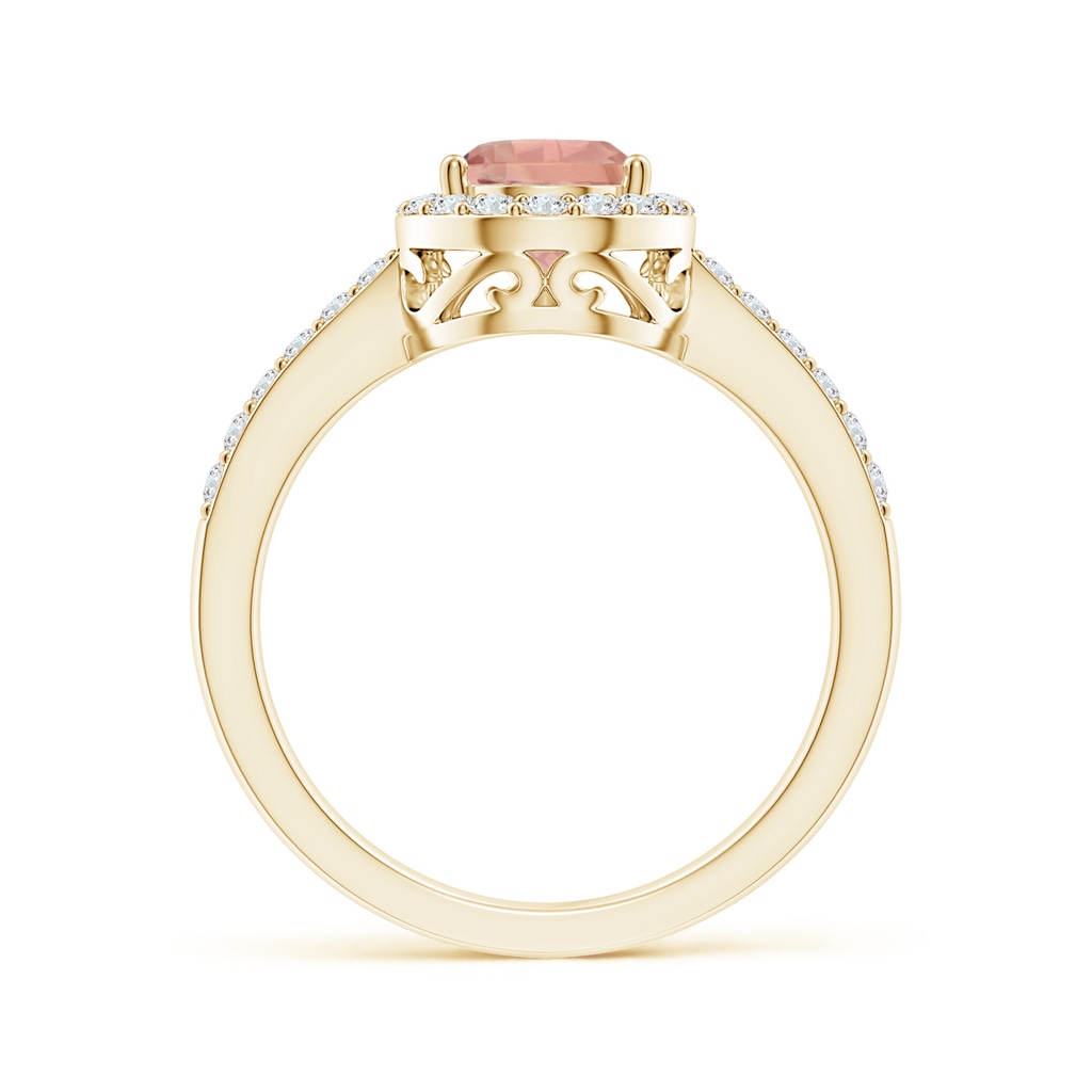 9x6mm AAAA Prong-Set Pear Morganite Ring with Diamond Halo in Yellow Gold - side 199