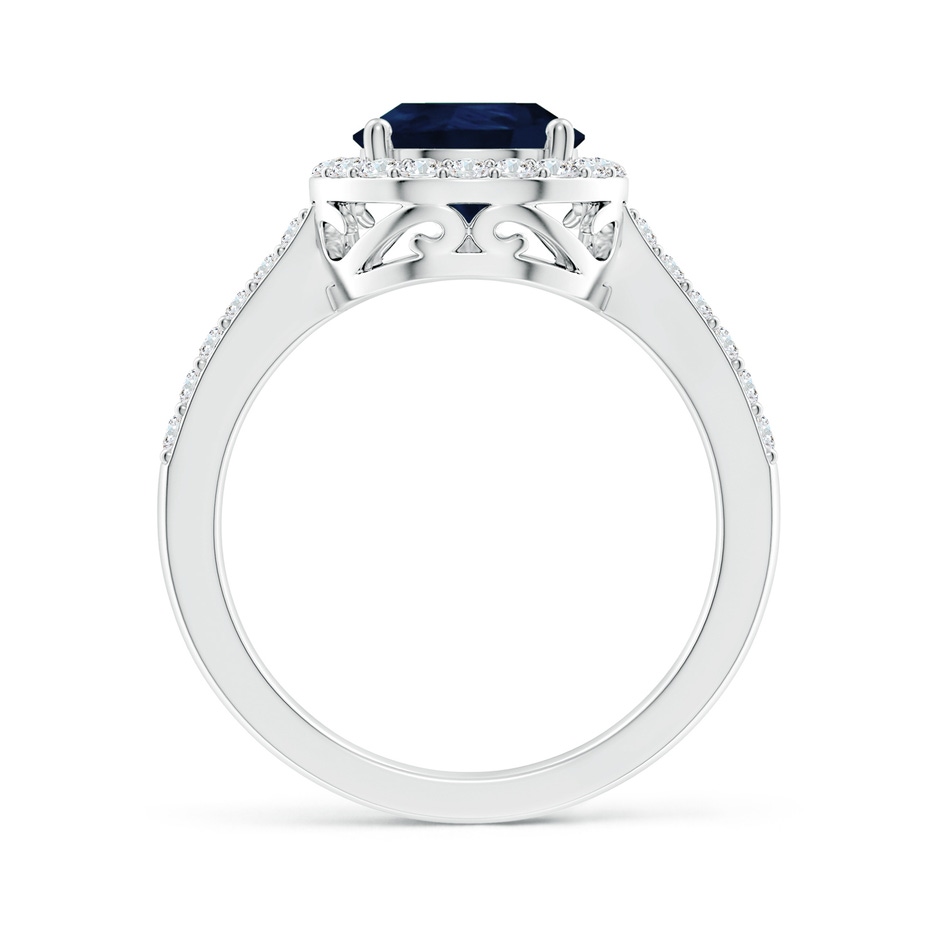 10x8mm A Pear Sapphire Ring with Diamond Halo in White Gold side 199